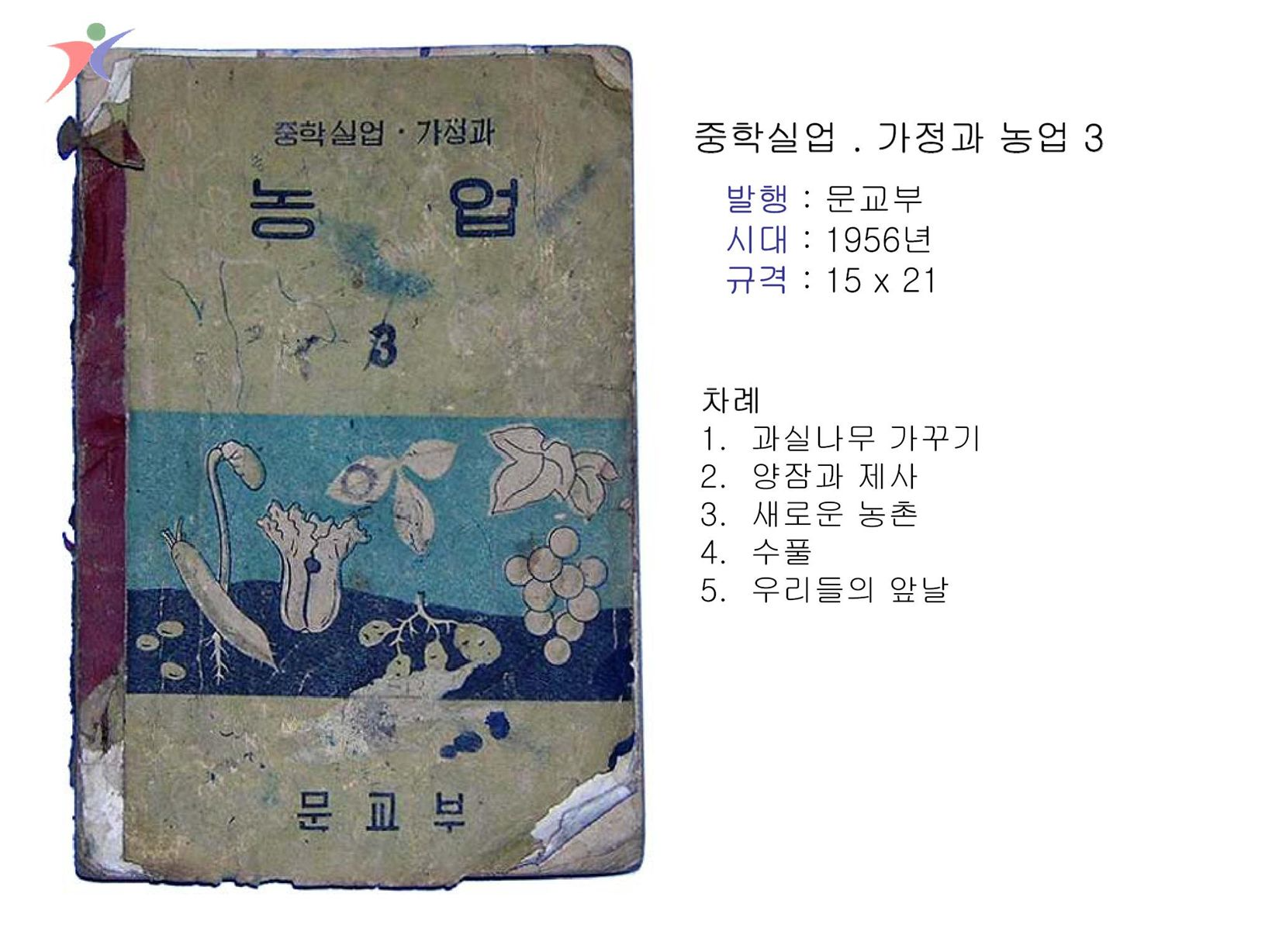 제1차교육과정(43)