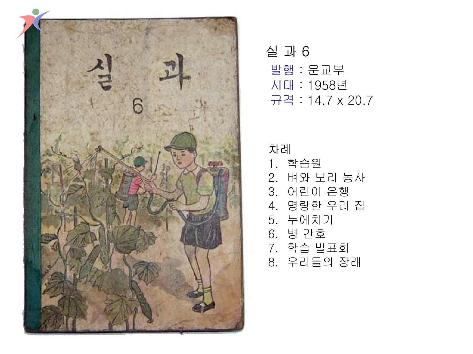 제1차교육과정(89)