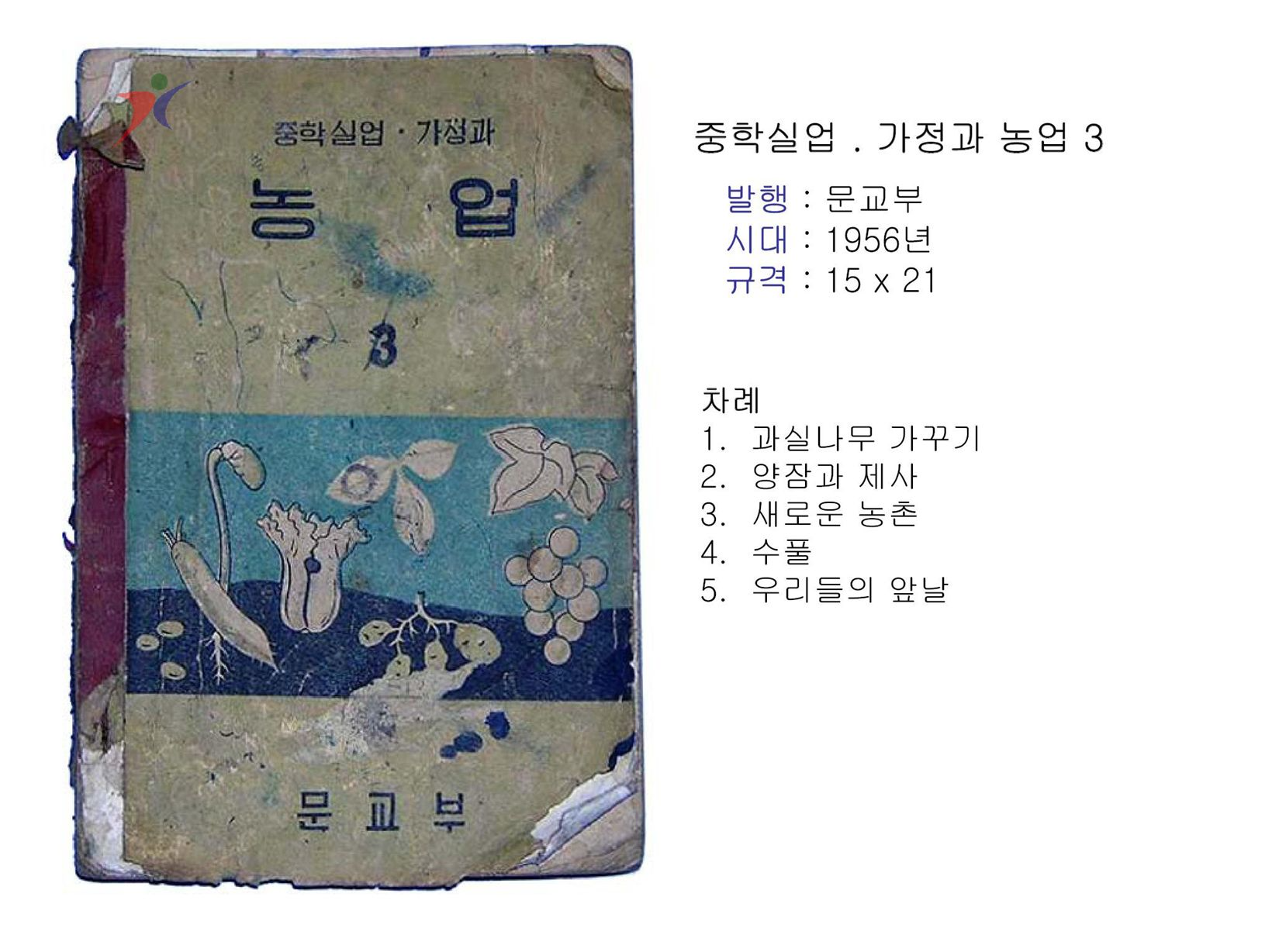 제1차교육과정(175)