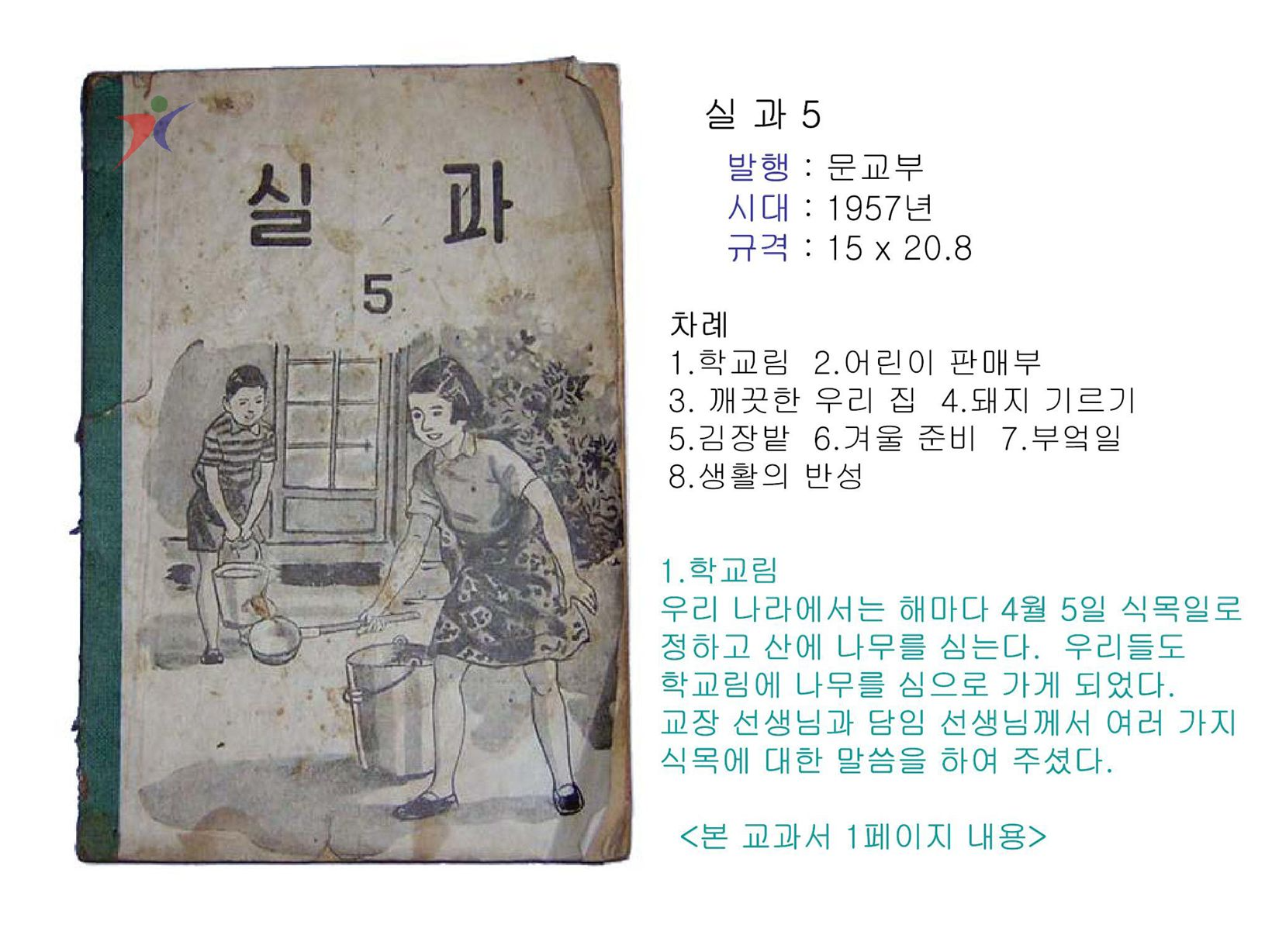 제1차교육과정(205)