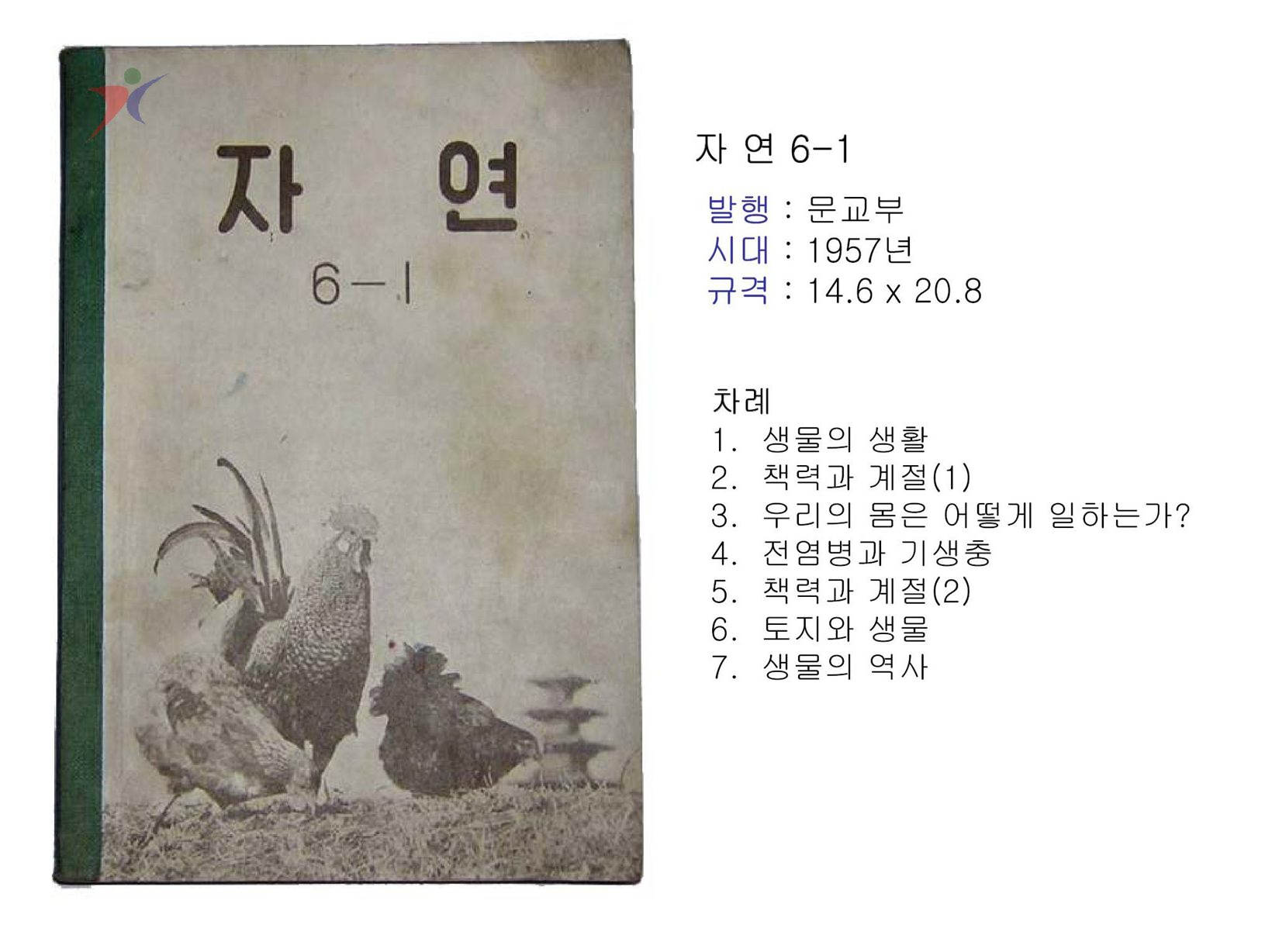 제1차교육과정(211)