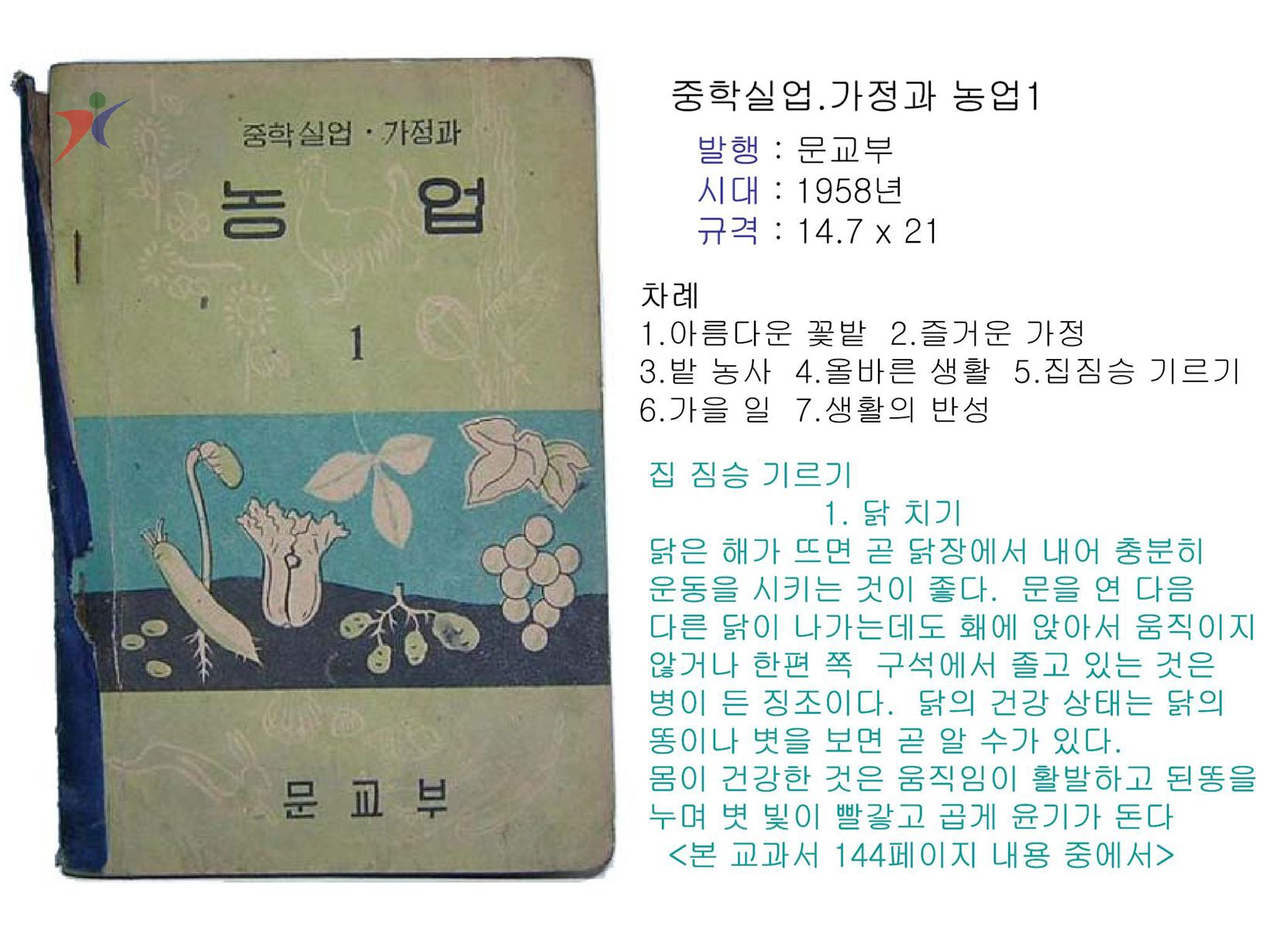 제1차교육과정(228)